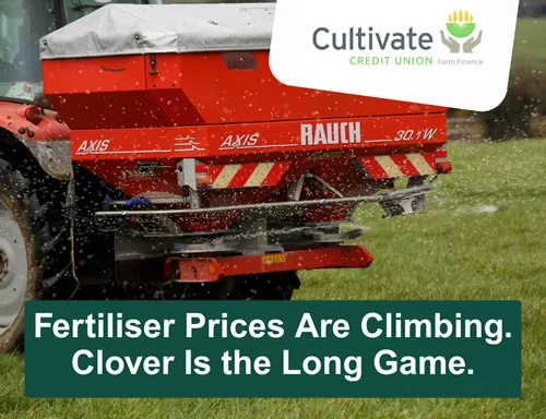 Cultivate Social Media Square Post Fertiliser Prices Are Climbing. Clover Is The Long Game