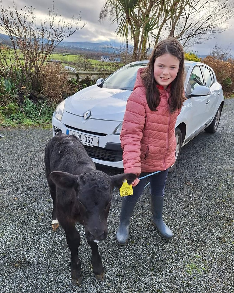 Farm photography competition winner